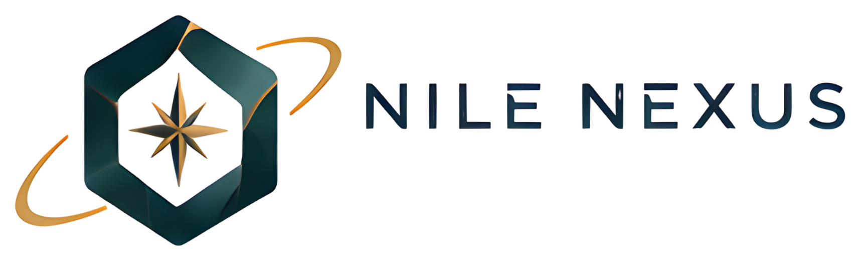 Nile Nexus logo